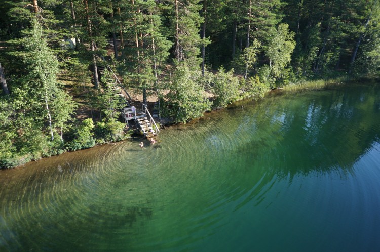 Puiset portaat jotka vievät metsästä järveen. 