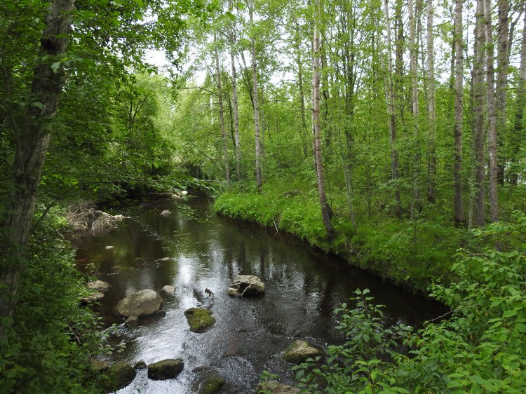 Lapväärtin joki.