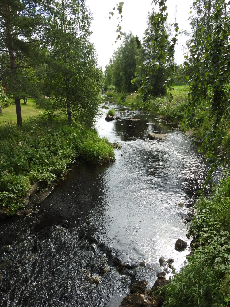 Kapeahko joki virtaa pellon laidassa puiden välistä.