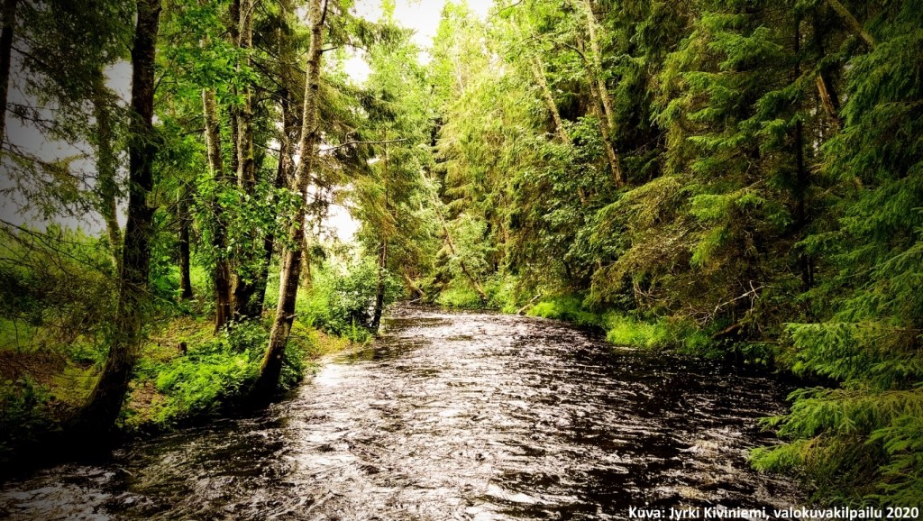 Metsämaisema, jossa vuolaasti virtaava joki. Kuva: Jyrki Kiviniemi, valokuvakilpailu 2020.